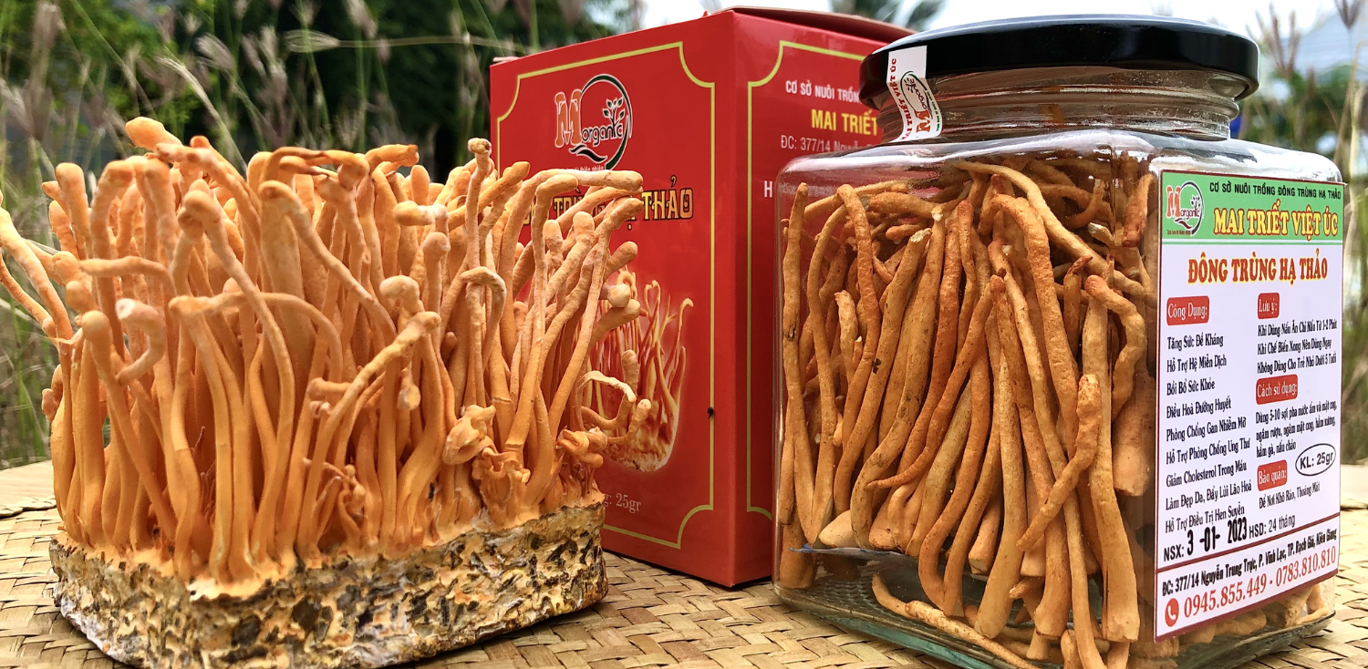 Đông Trùng Hạ Thảo Sấy Khô 25gram