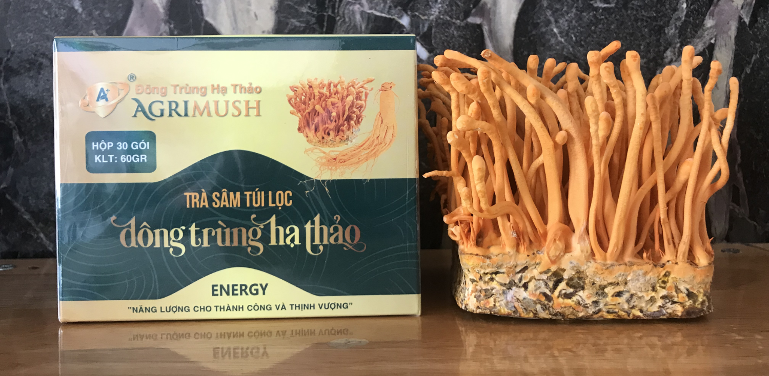 Trà Sâm Túi Lọc Đông Trùng Hạ Thảo